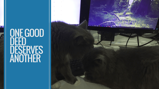 One Good Deed Deserves Another - The Social Adviser